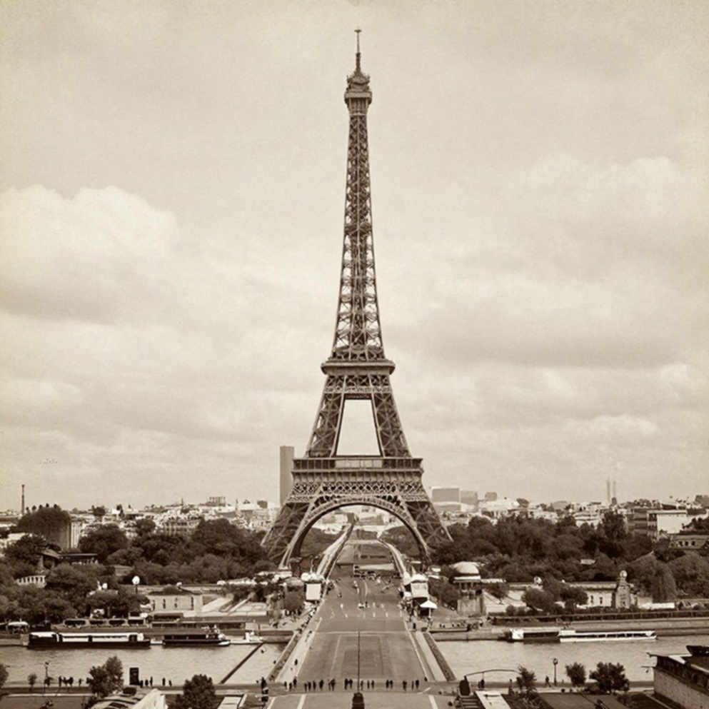 Khoảng lặng giữa hai đường biên: Khi dữ liệu thể thao nữ bị xóa khỏi lịch sử