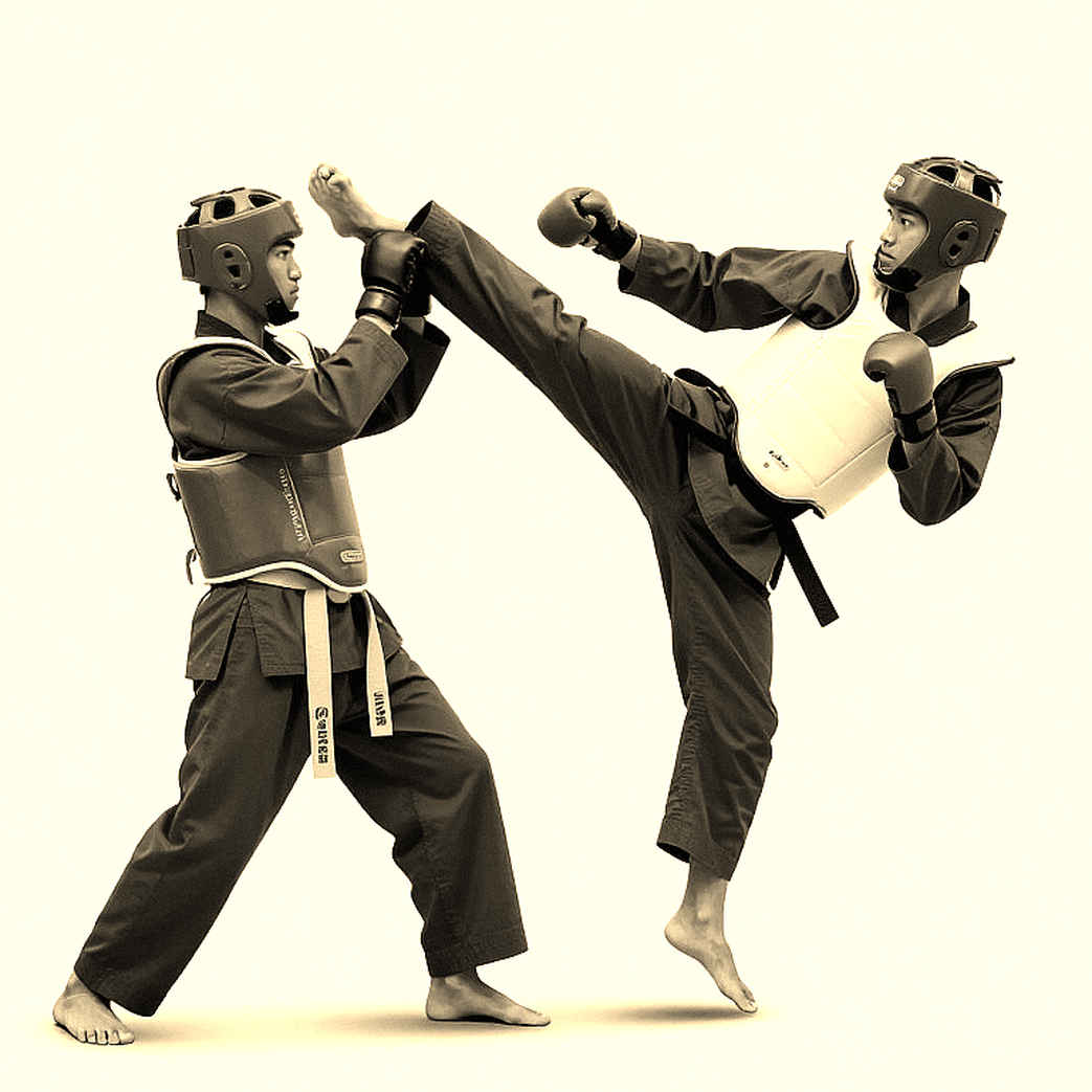 Two Rings, One Discipline: Vietnamese Martial Arts at the Crossroads of Forms and Combat Two Rings, One Discipline: Vietnamese Martial Arts at the Crossroads of Forms and Combat