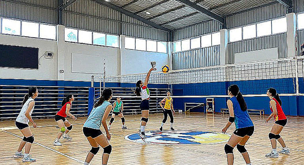 Gabi và cú nhảy khỏi vùng an toàn: Khi ngôi sao bóng chuyền Brazil chọn nỗi đau để lớn